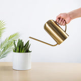 Stainless Steel Watering Can 1.5L